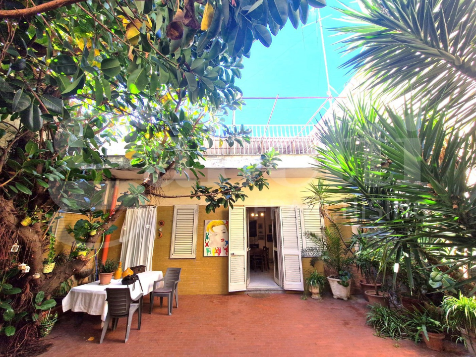 Complesso - Image 10