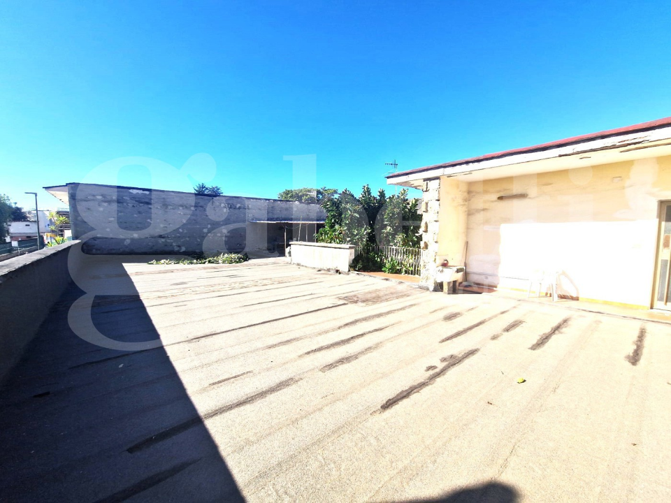 Complesso - Image 18