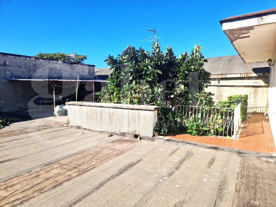 Complesso - Image 17