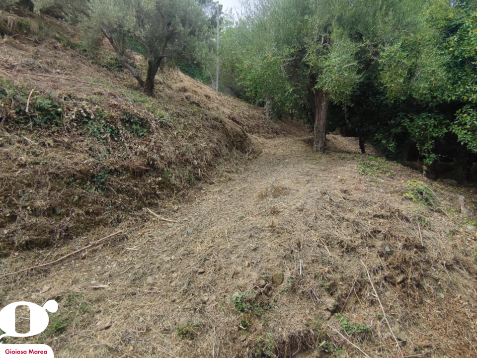 Casa Indipendente - Image 21