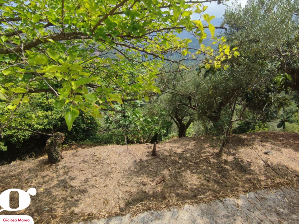 Casa Indipendente - Image 23