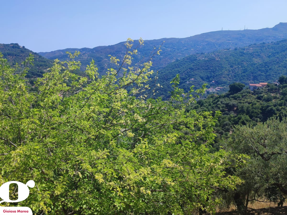 Casa Indipendente - Image 11