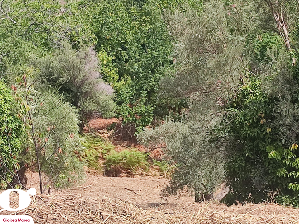 Casa Indipendente - Image 19