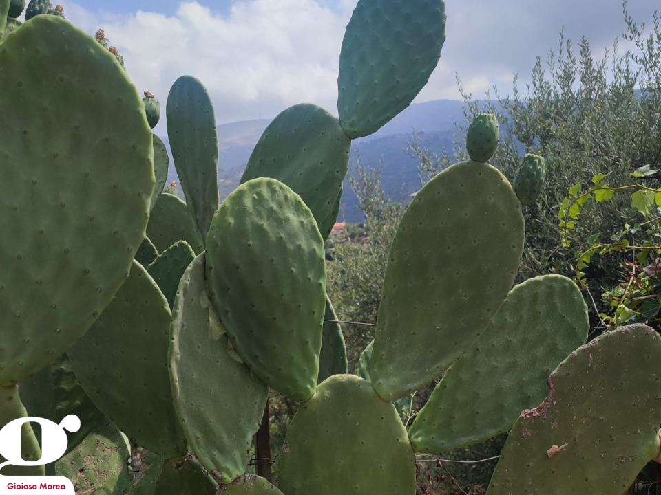 Casa Indipendente - Image 20