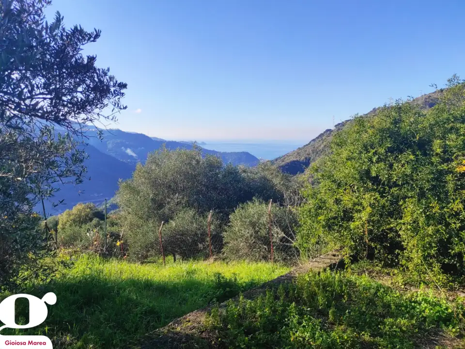 Casa Indipendente - Image 2