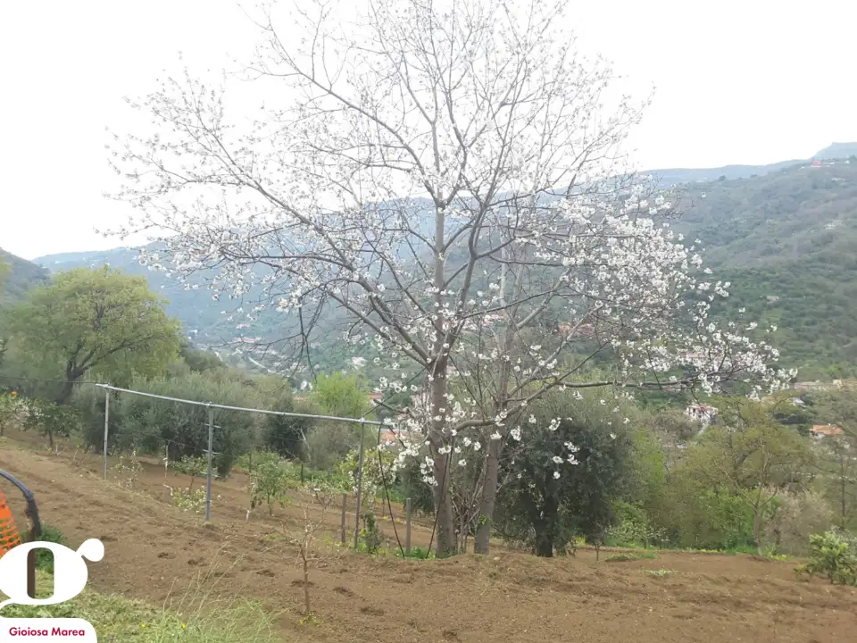 Casa Indipendente - Image 13