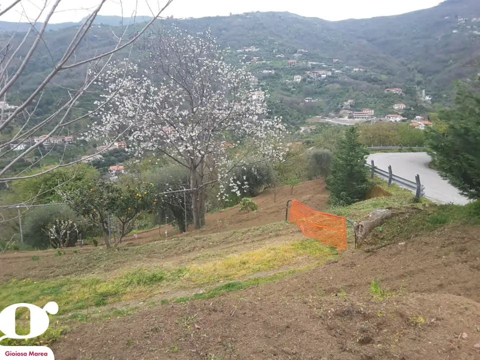 Casa Indipendente - Image 10