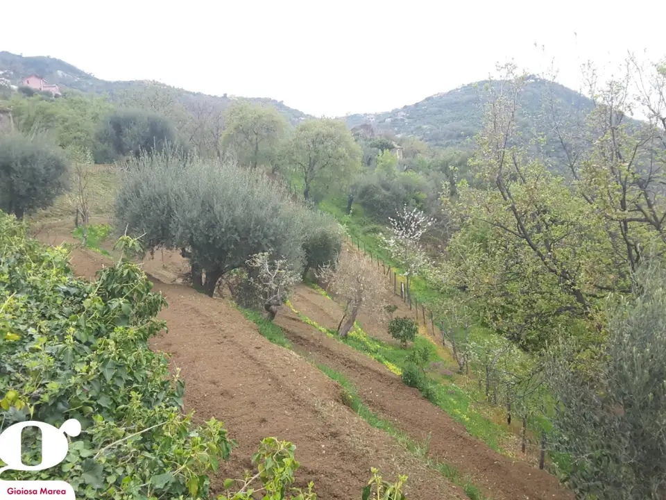 Casa Indipendente - Image 12