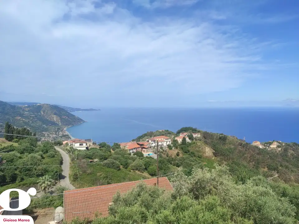 Complesso - Image 11