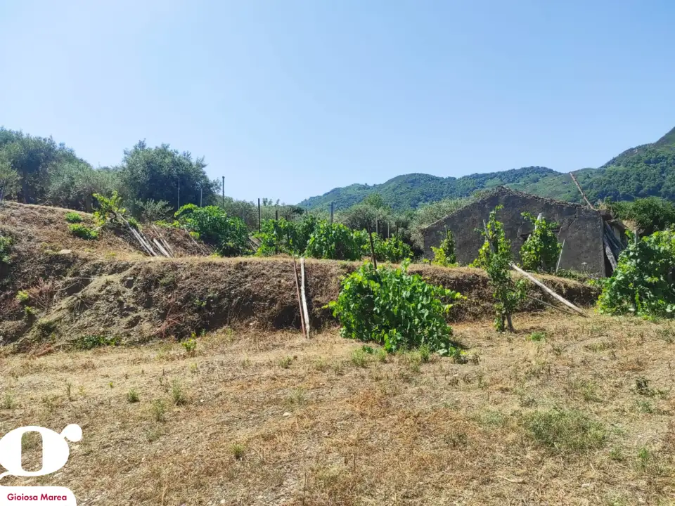 Casa Indipendente - Image 6