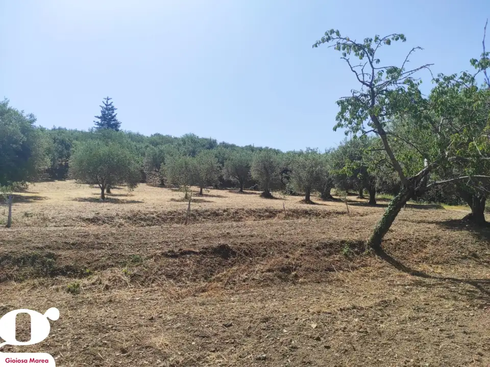 Casa Indipendente - Image 8