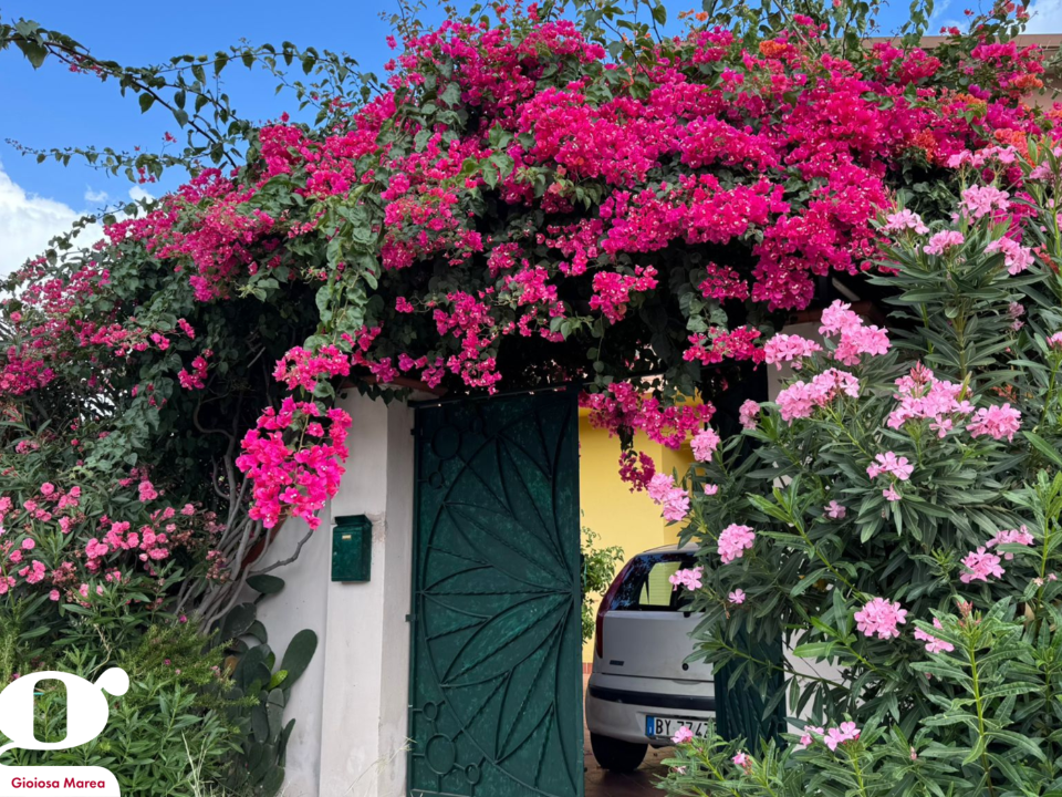 Casa Indipendente - Image 24