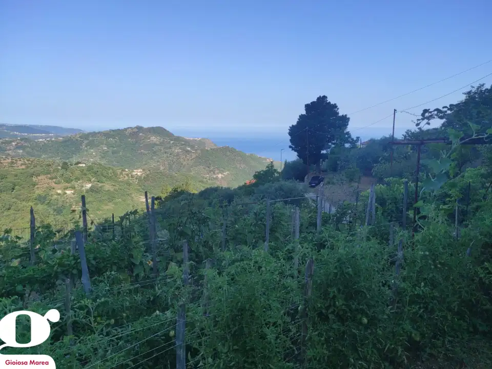 Casa Indipendente - Image 13