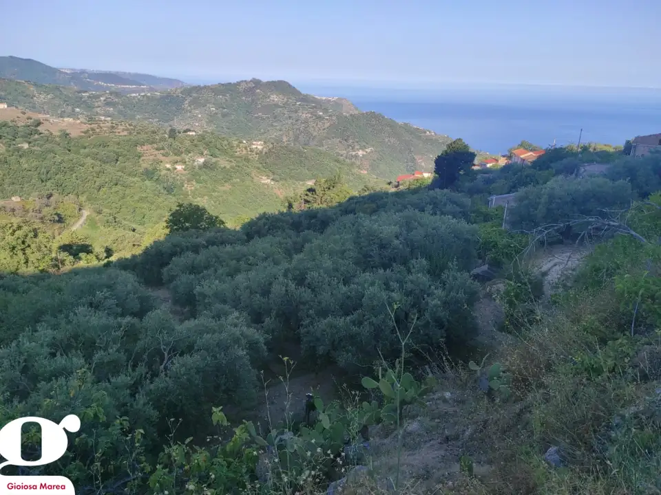 Casa Indipendente - Image 11