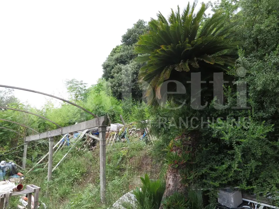 Appartamento - Image 4