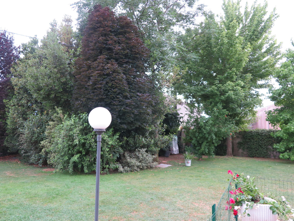 Appartamento - Image 6