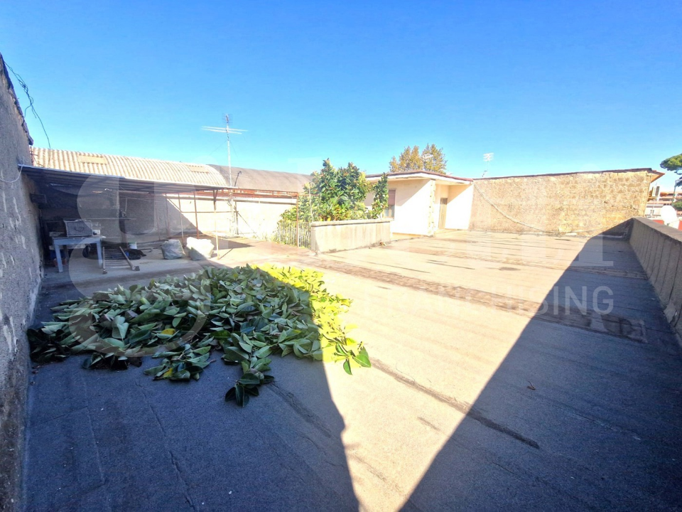 Complesso - Image 16