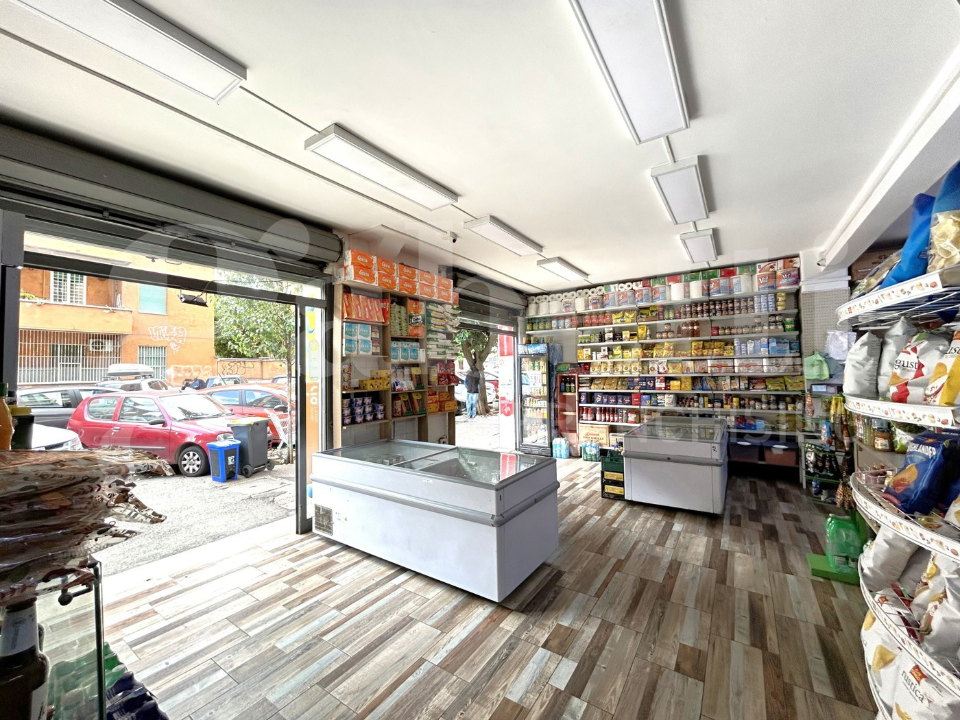 Attività - Image 10