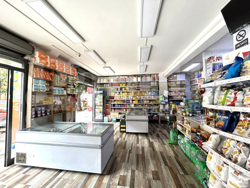 Attività - Image 11