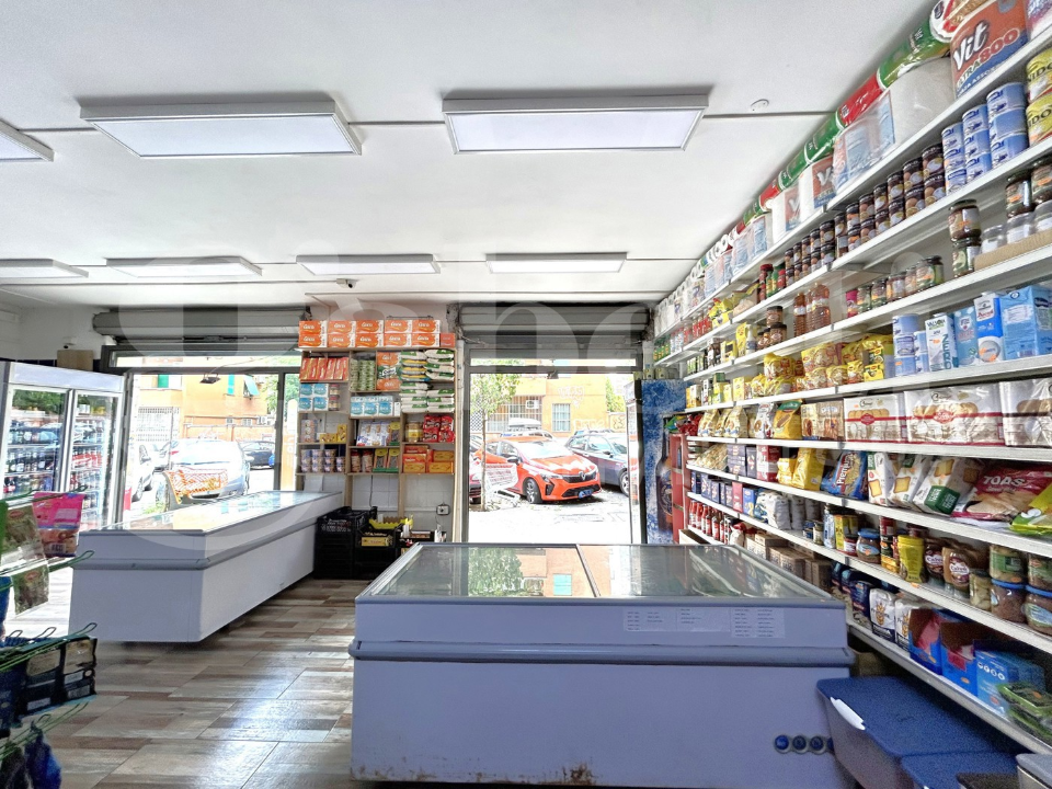 Attività - Image 13