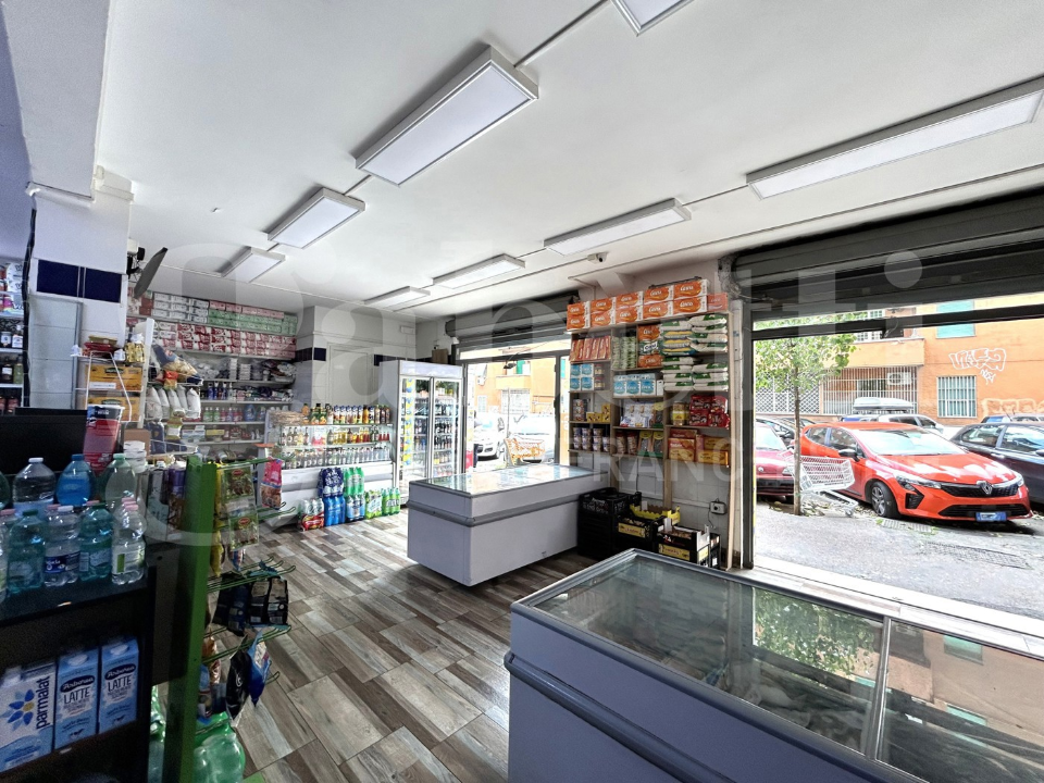 Attività - Image 14