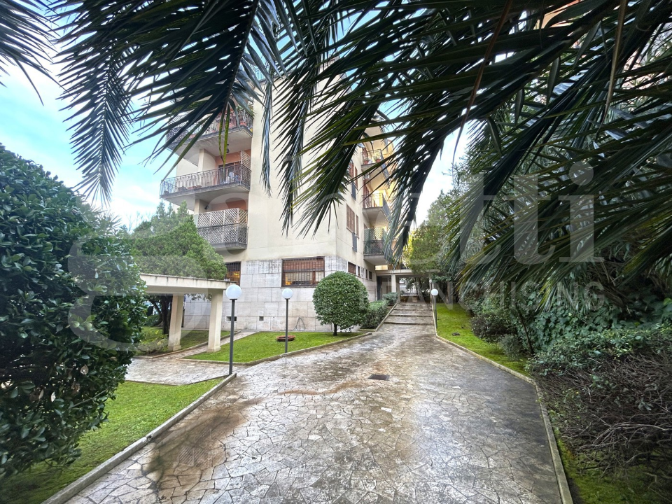 Appartamento - Image 4