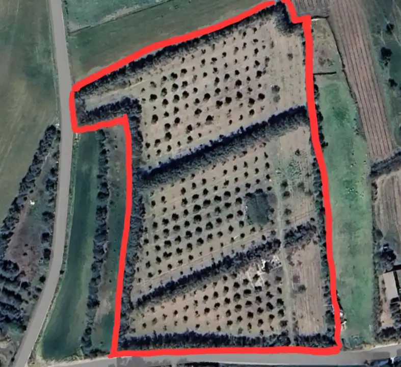 Terreno - Planimetry 1