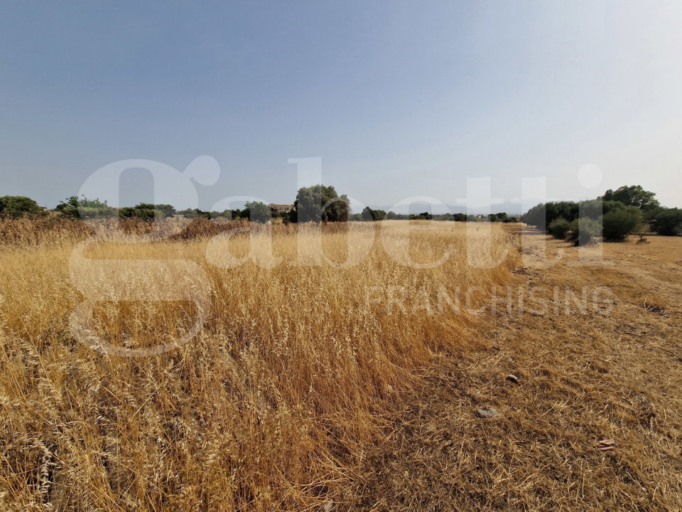 Terreno - Image 6