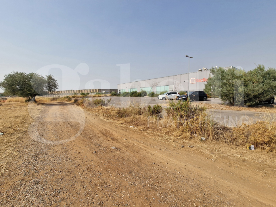 Terreno - Image 8