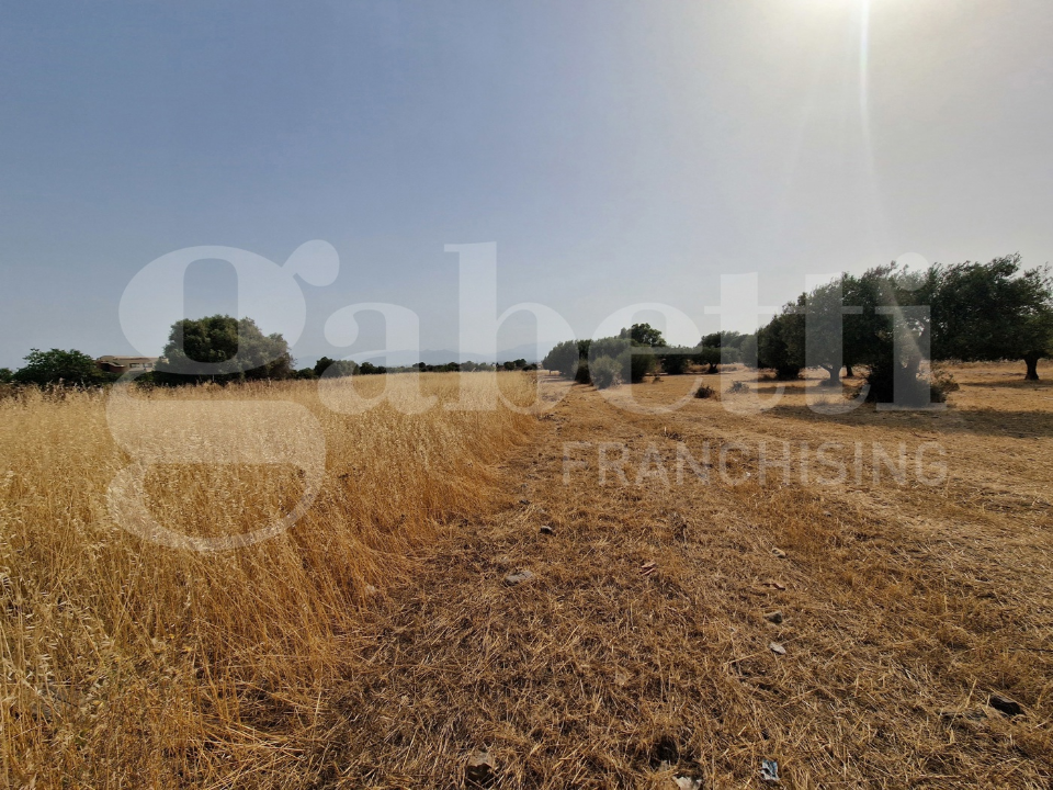 Terreno - Image 7