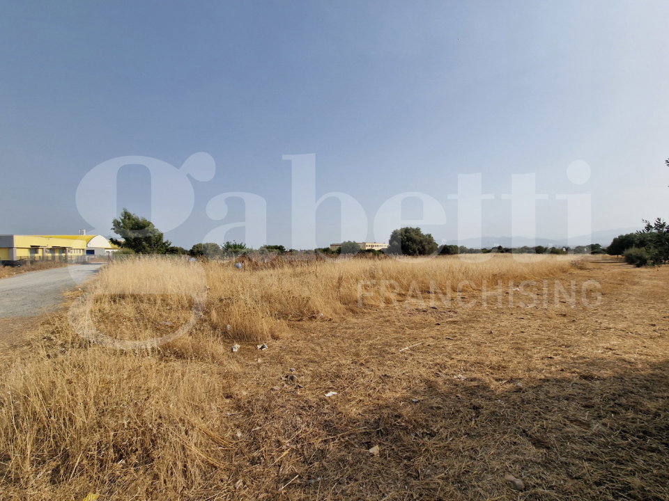 Terreno - Image 11