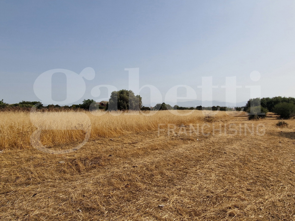 Terreno - Image 5