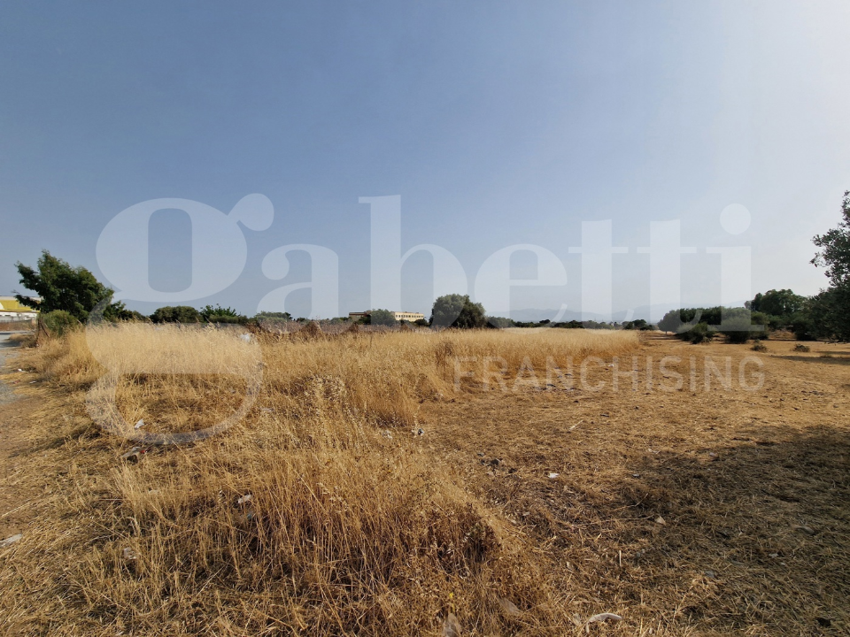 Terreno - Image 2