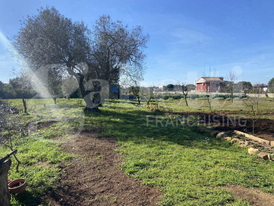 Casa Indipendente - Image 15