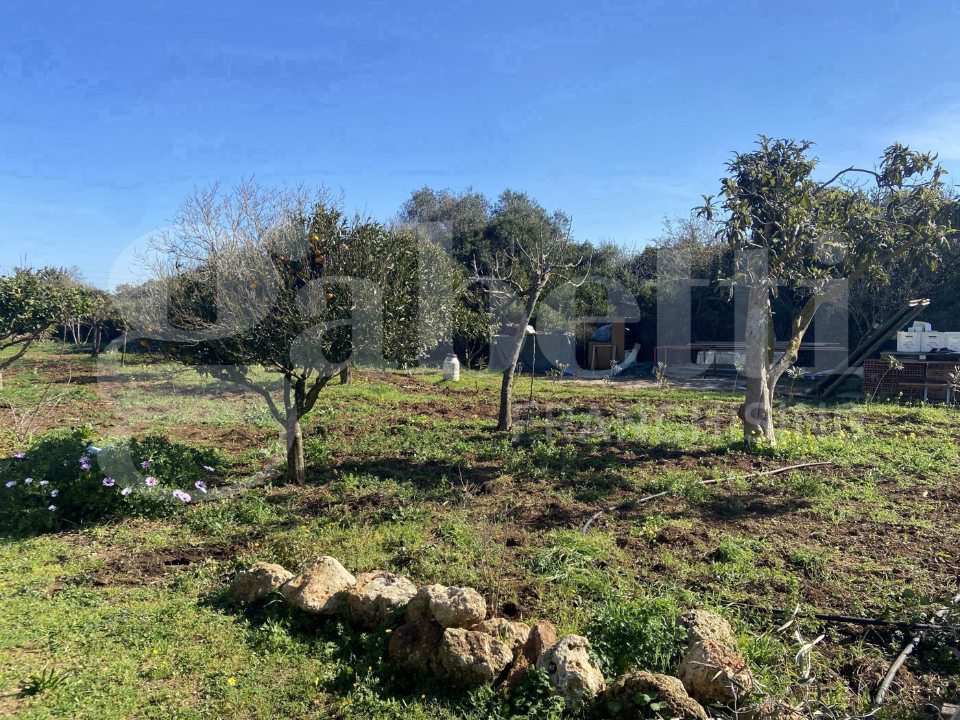 Casa Indipendente - Image 13