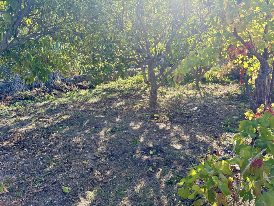 Casa Indipendente - Image 14