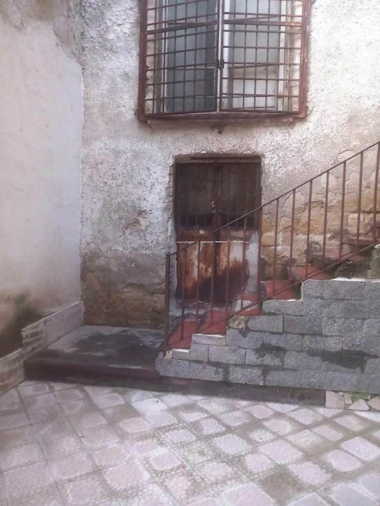 Appartamento - Image 19