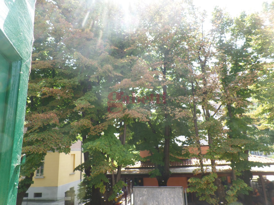 Casa Indipendente - Image 13