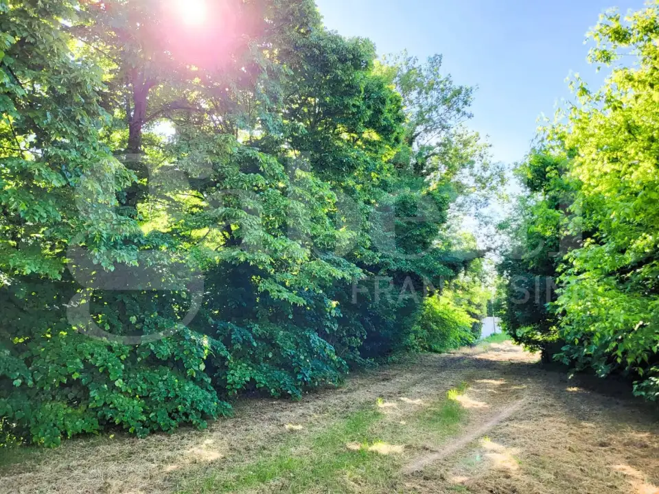 Casa Indipendente - Image 8