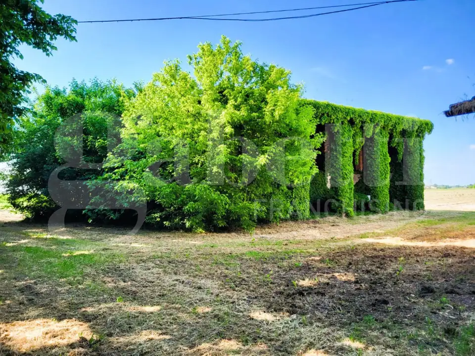 Casa Indipendente - Image 6