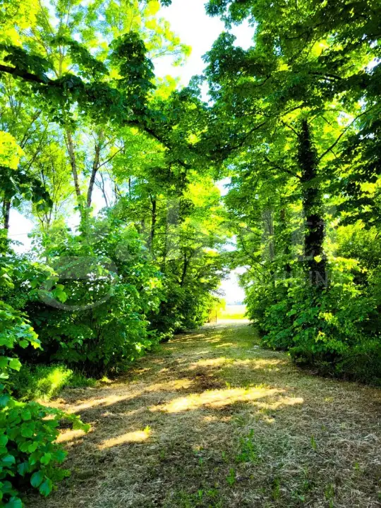 Casa Indipendente - Image 20