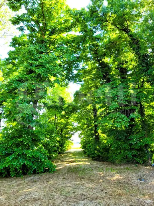 Casa Indipendente - Image 21