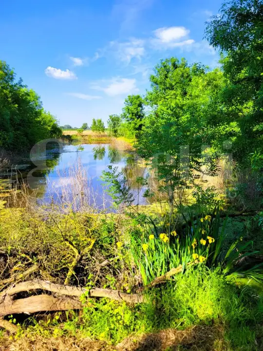 Casa Indipendente - Image 17