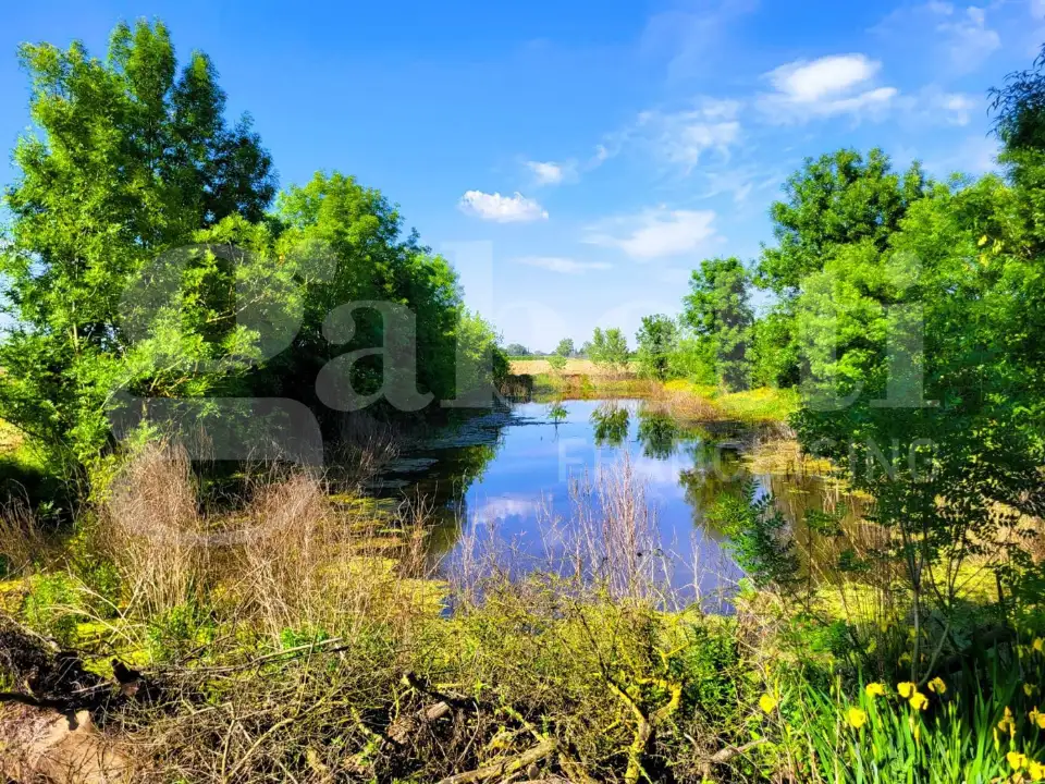 Casa Indipendente - Image 5