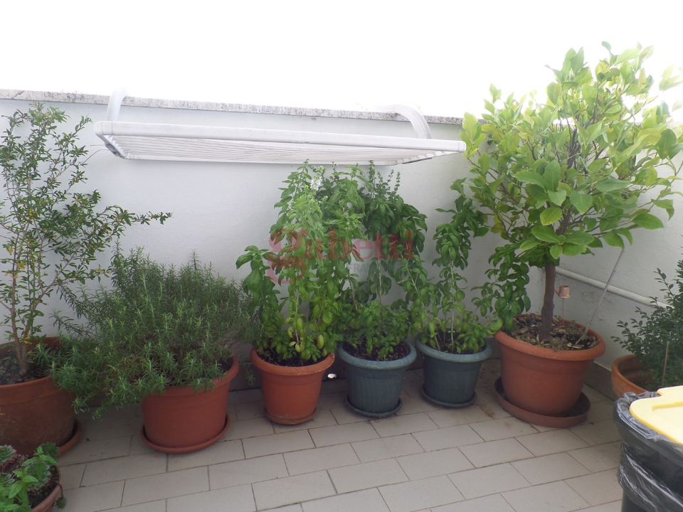 Appartamento - Image 38