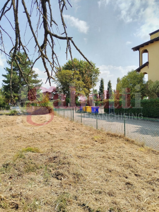 Terreno - Image 12