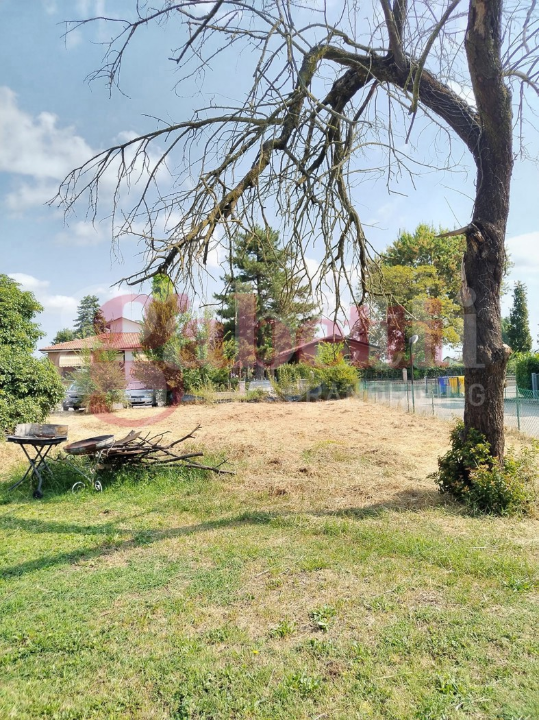 Terreno - Image 15