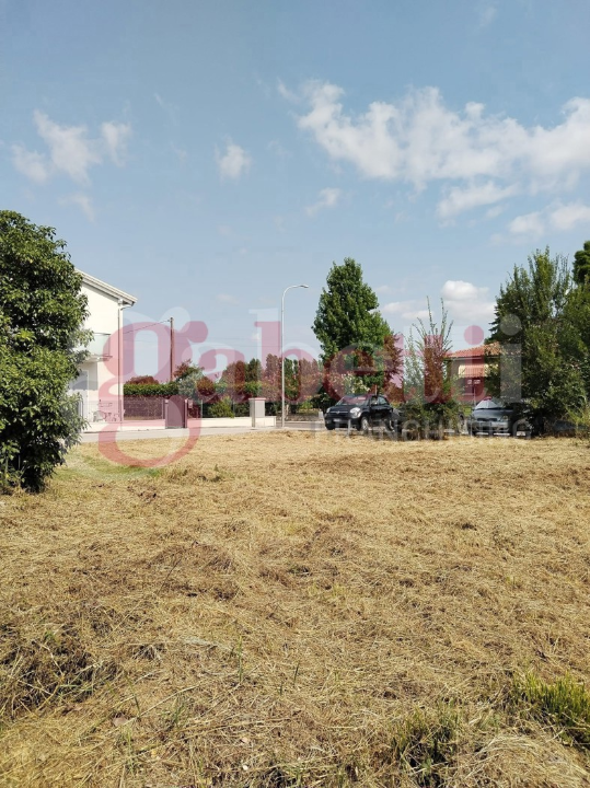 Terreno - Image 6