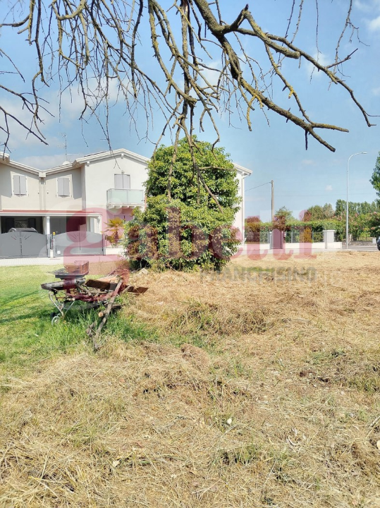 Terreno - Image 14