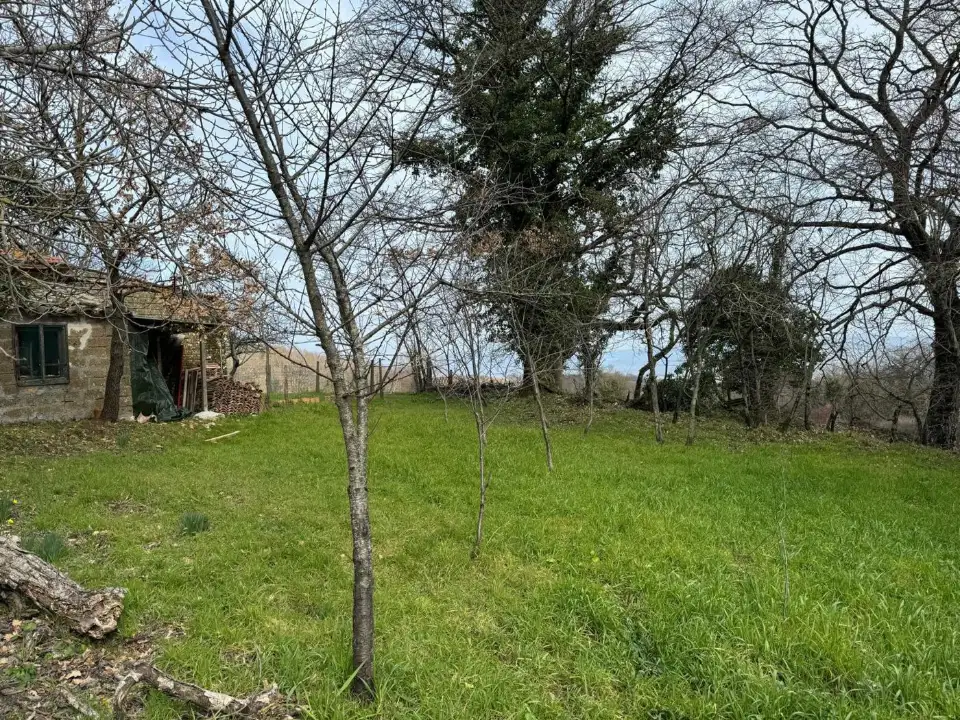 Appartamento - Image 18